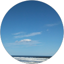Nancy Sacca profile picture